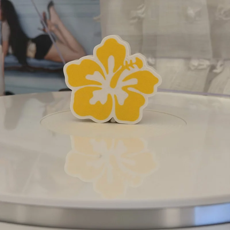 Hibiscus Flower vinyl record topper